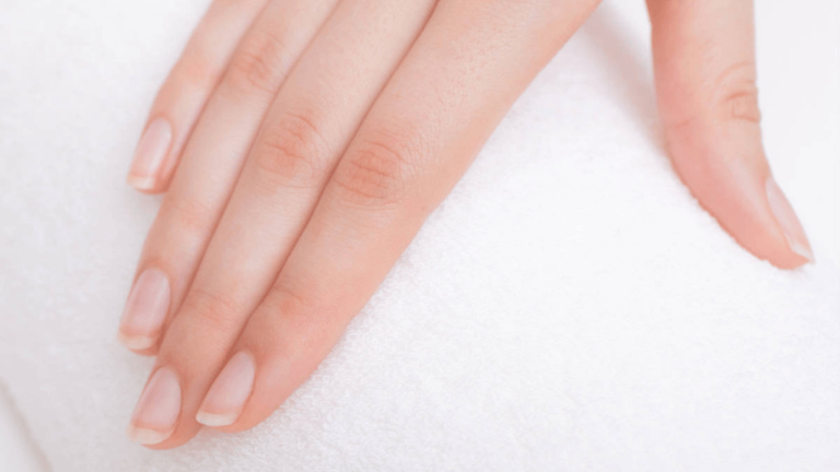 Anatomy of the Nail