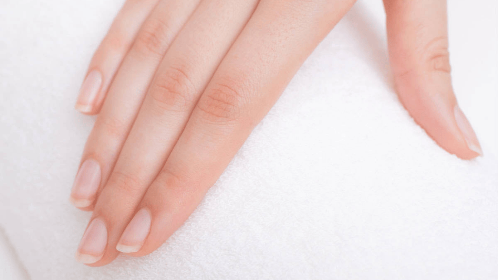 Anatomy of the Nail