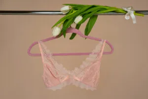 Sheer Bra