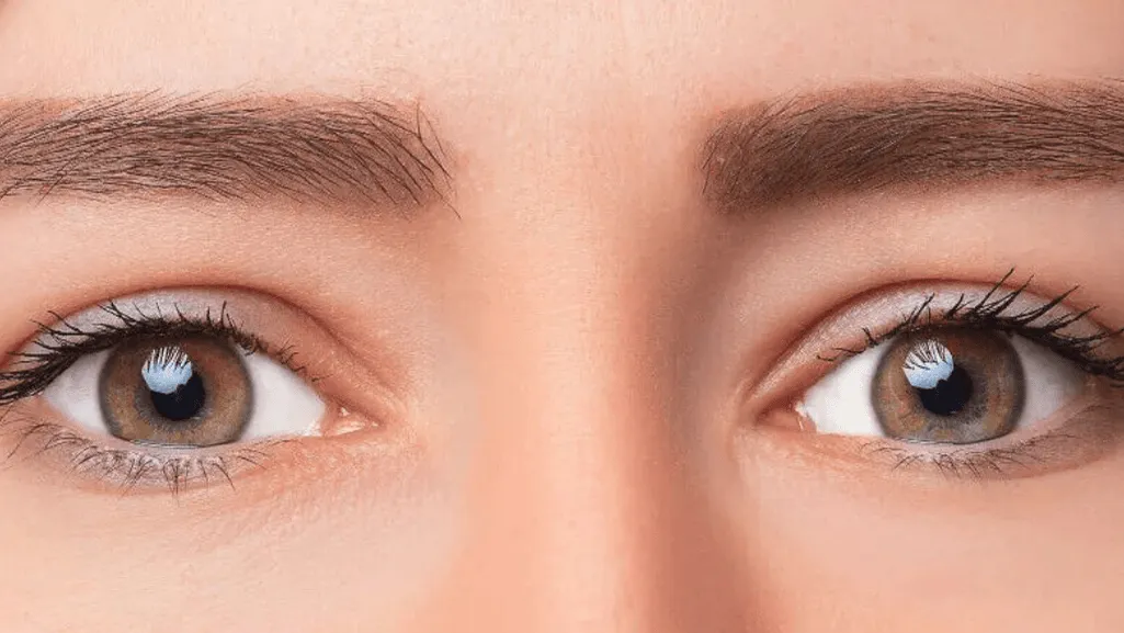 Understanding Hooded Eyes and Brow Dynamics