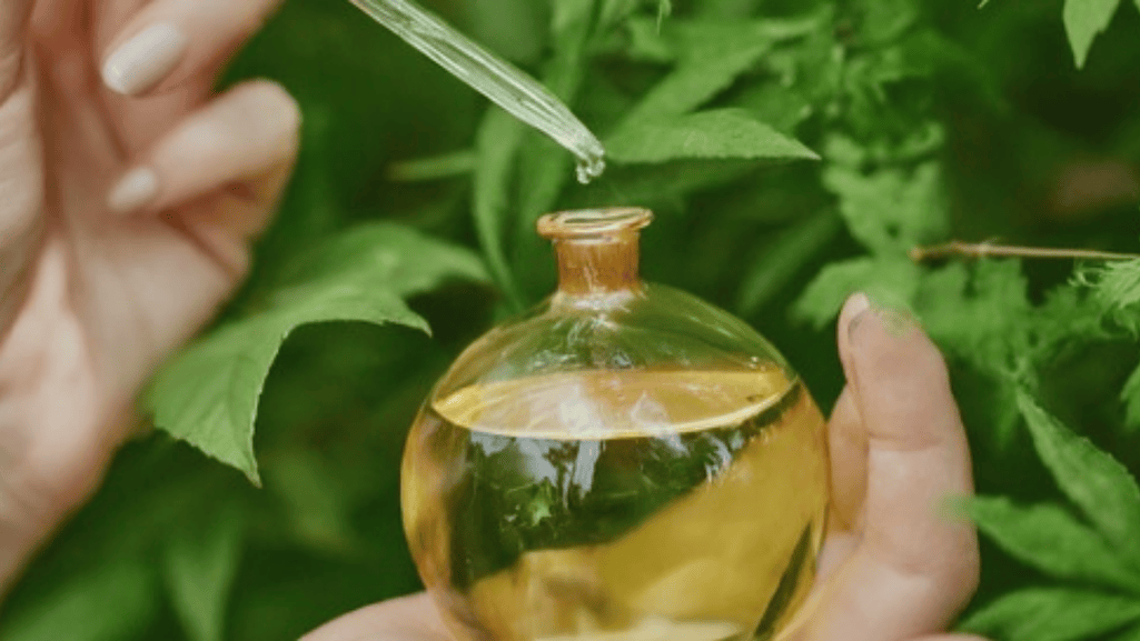 sustainable perfumery
