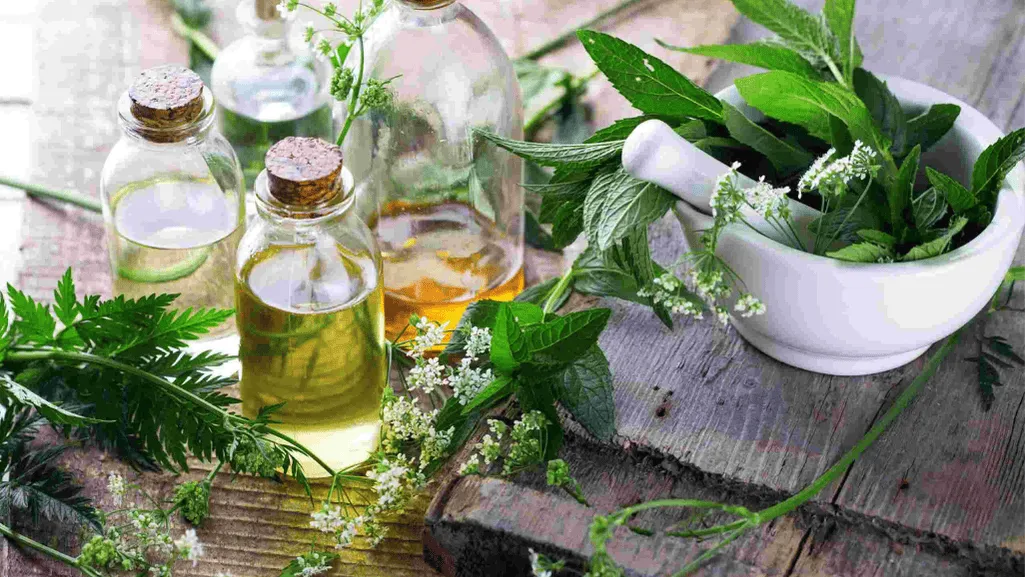 The Importance of Organic Skincare and Natural Ingredients
