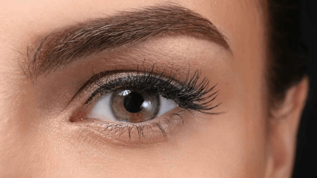 brow