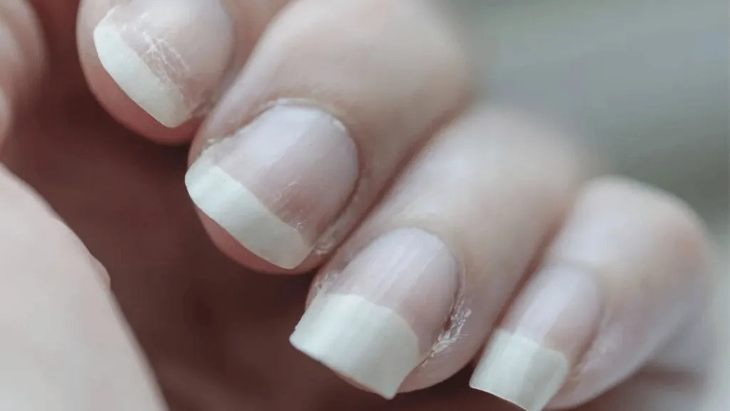 functions of healthy nails functions of healthy nails